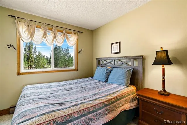 163 Meadow View Lane Fairplay, CO 80440