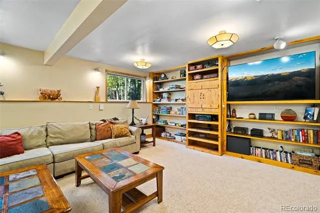 163 Meadow View Lane Fairplay, CO 80440