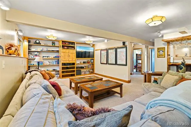 163 Meadow View Lane Fairplay, CO 80440