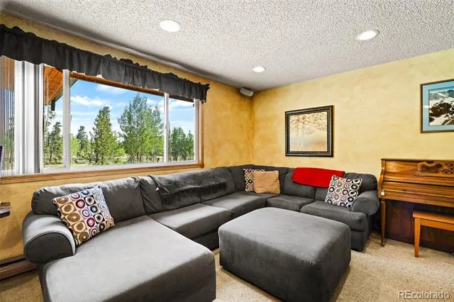 163 Meadow View Lane Fairplay, CO 80440