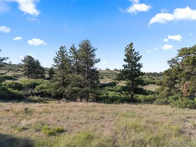 13500 Pine Drive Parker, CO 80138