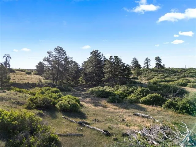 13500 Pine Drive Parker, CO 80138