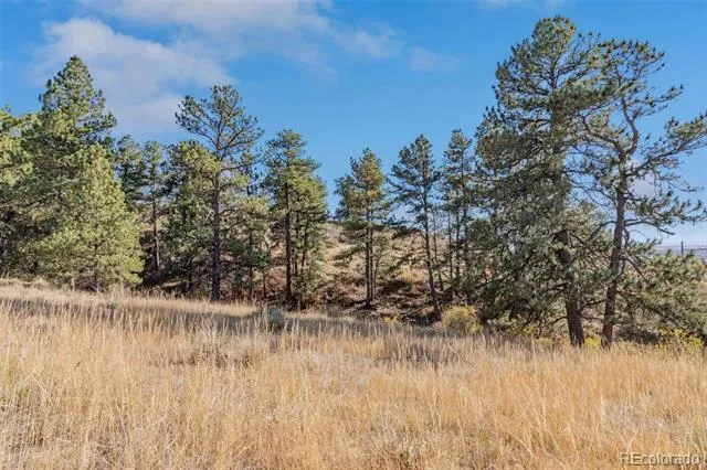 13500 Pine Drive Parker, CO 80138