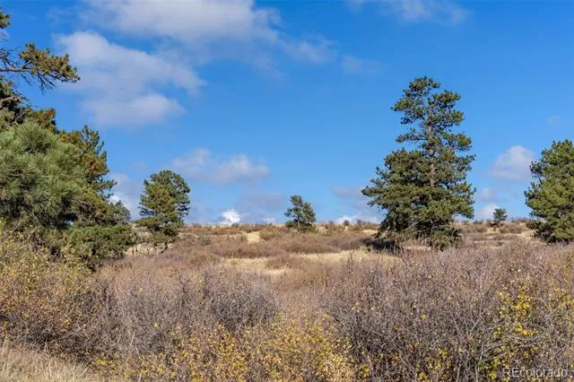 13500 Pine Drive Parker, CO 80138