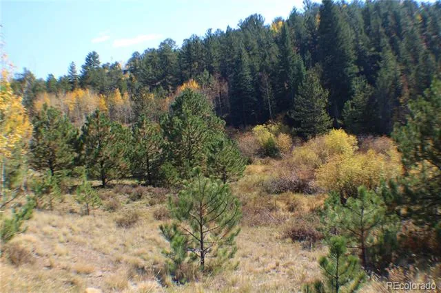 2020 Shelton Drive Bailey, CO 80421