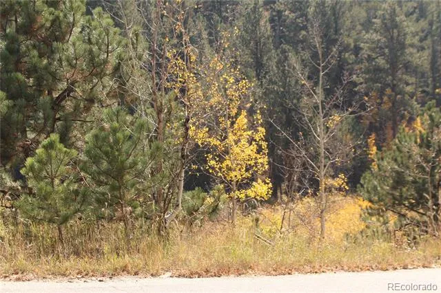 2020 Shelton Drive Bailey, CO 80421