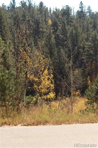 2020 Shelton Drive Bailey, CO 80421