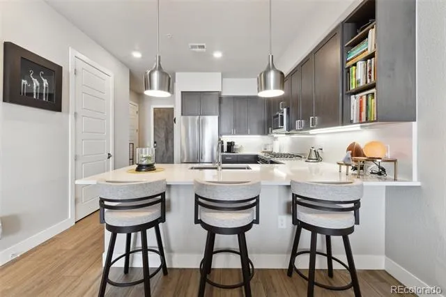 20 Wilcox Street #613 Castle Rock, CO 80104