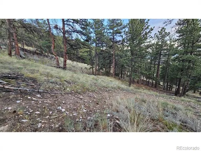 3724 Woodchuck Drive Loveland, CO 80538