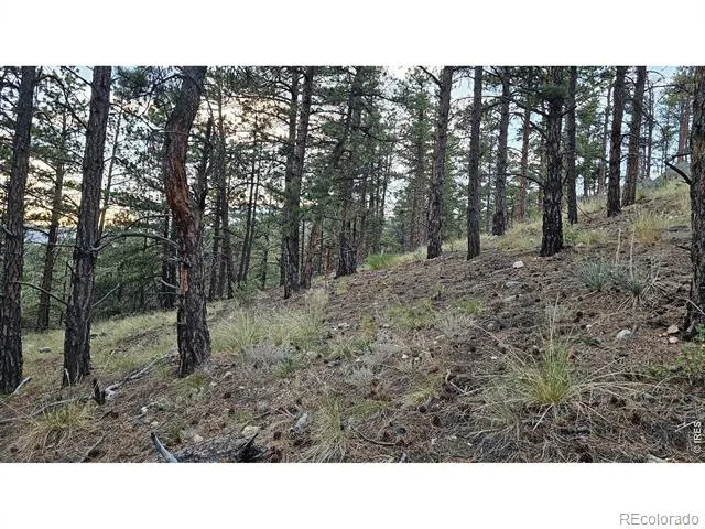 3724 Woodchuck Drive Loveland, CO 80538