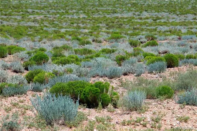 10 acres 11th Street Sanford, CO 81151