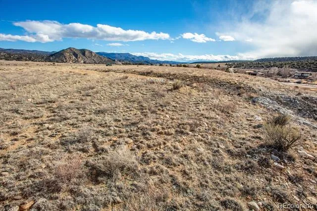 24233 Castaway Court Buena Vista, CO 81211