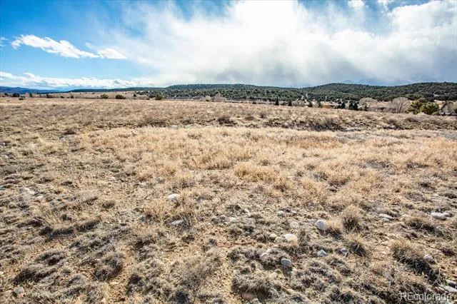 24233 Castaway Court Buena Vista, CO 81211