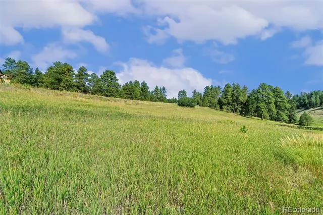 8066 Federation Drive Morrison, CO 80465