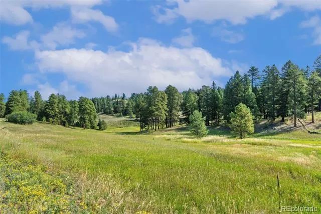 8066 Federation Drive Morrison, CO 80465