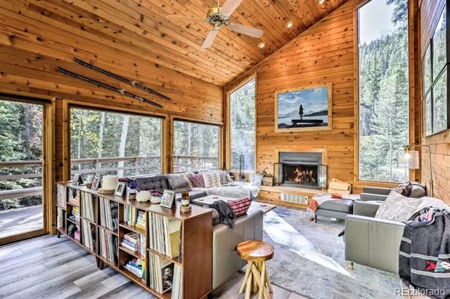 48 Moss Lane Dumont, CO 80436