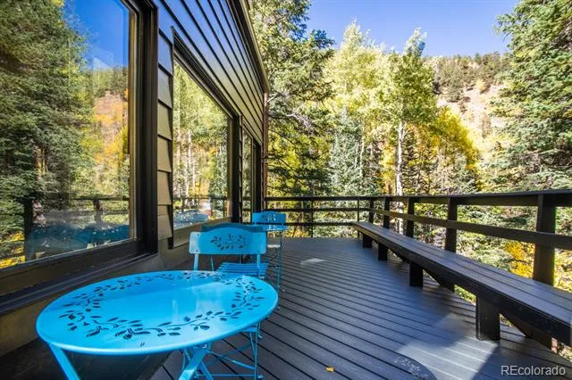 48 Moss Lane Dumont, CO 80436