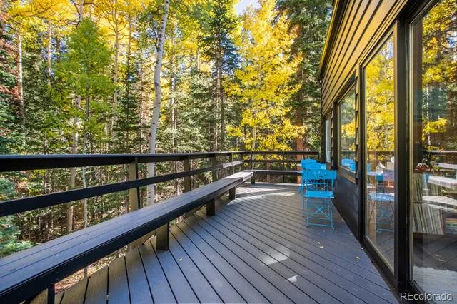 48 Moss Lane Dumont, CO 80436