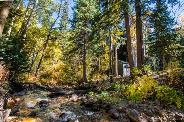 48 Moss Lane Dumont, CO 80436
