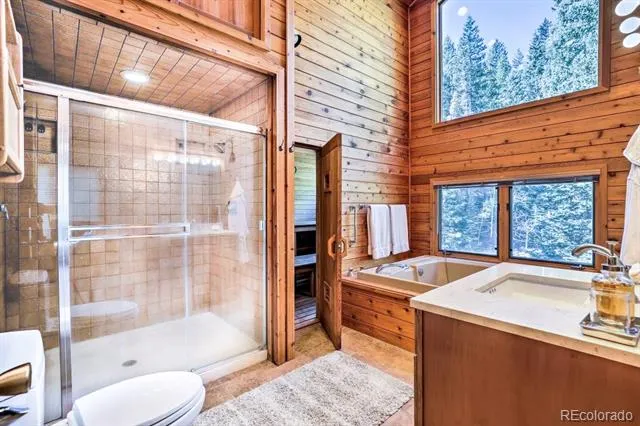 48 Moss Lane Dumont, CO 80436