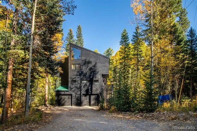 48 Moss Lane Dumont, CO 80436