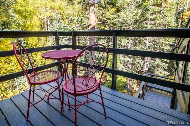 48 Moss Lane Dumont, CO 80436