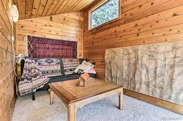 48 Moss Lane Dumont, CO 80436