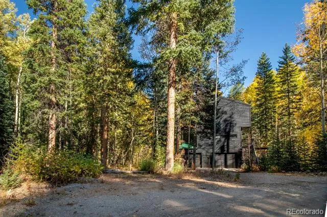 48 Moss Lane Dumont, CO 80436