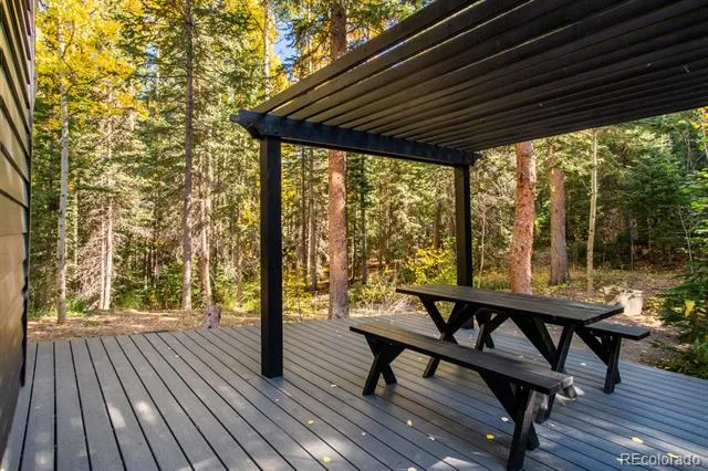 48 Moss Lane Dumont, CO 80436
