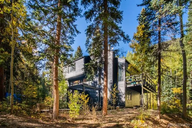 48 Moss Lane Dumont, CO 80436