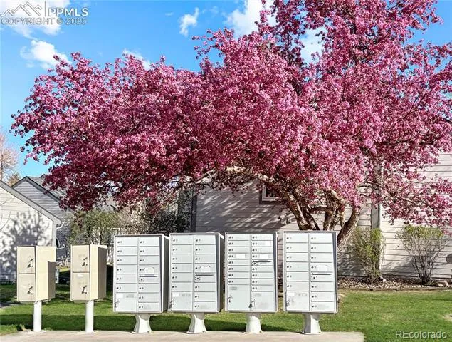 422 Cobblestone Drive Colorado Springs, CO 80906