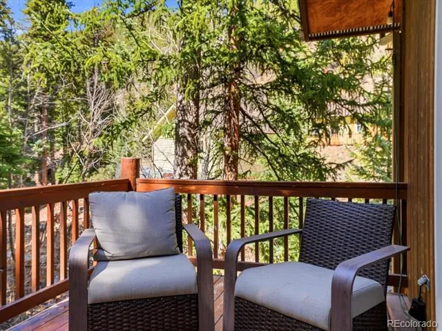2547 Mill Creek Road Dumont, CO 80452