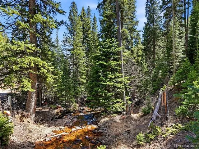 2547 Mill Creek Road Dumont, CO 80452