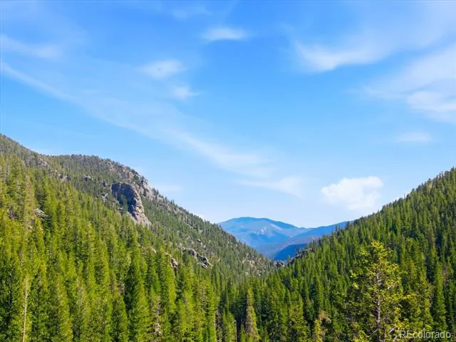 2547 Mill Creek Road Dumont, CO 80452