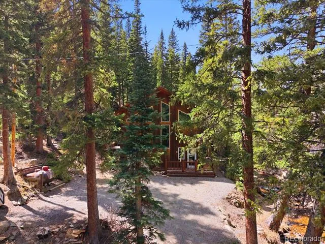 2547 Mill Creek Road Dumont, CO 80452