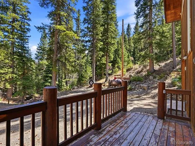 2547 Mill Creek Road Dumont, CO 80452