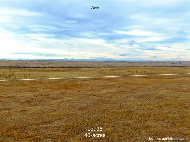0 Quietude Lane Lot 36 Kiowa, CO 80117