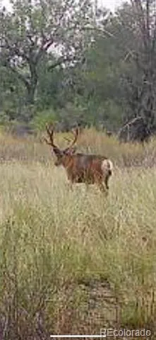 000 Daniel Rd Pueblo, CO 81006