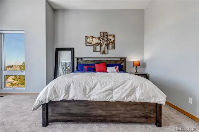 5651 Silver Bluff Court Parker, CO 80134