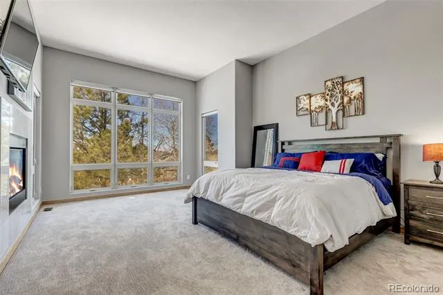 5651 Silver Bluff Court Parker, CO 80134
