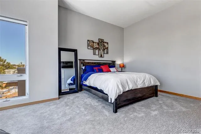 5651 Silver Bluff Court Parker, CO 80134