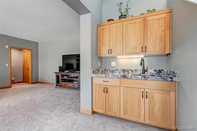 5651 Silver Bluff Court Parker, CO 80134