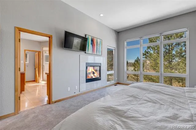 5651 Silver Bluff Court Parker, CO 80134
