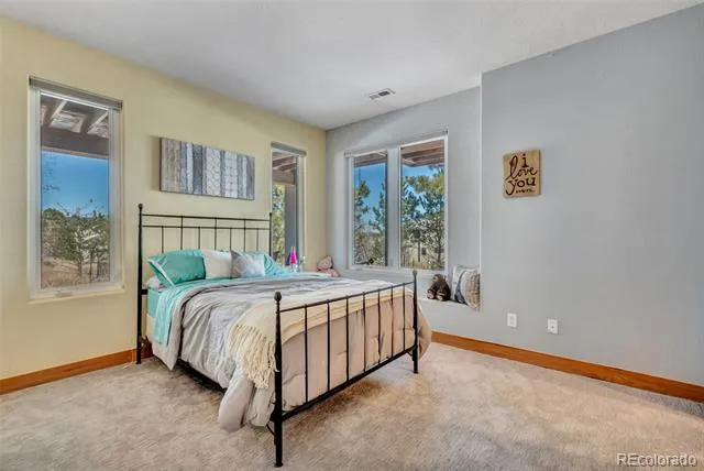 5651 Silver Bluff Court Parker, CO 80134