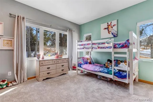 5651 Silver Bluff Court Parker, CO 80134