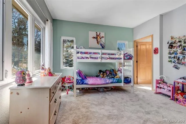 5651 Silver Bluff Court Parker, CO 80134