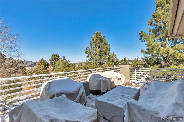 5651 Silver Bluff Court Parker, CO 80134