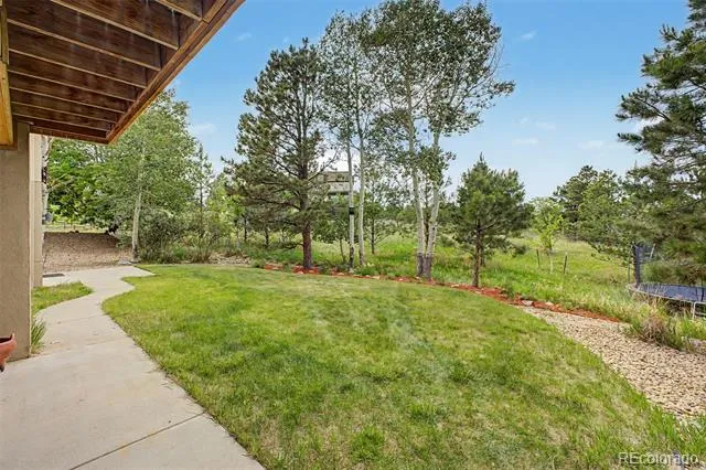 5651 Silver Bluff Court Parker, CO 80134