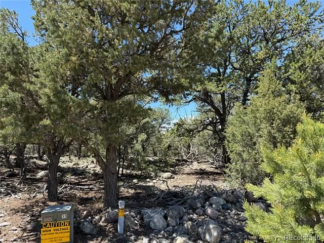 2150 Indian Well Way Crestone, CO 81131
