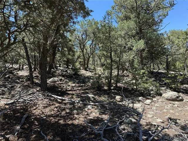 2150 Indian Well Way Crestone, CO 81131